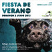 Cartel Fiesta de Verano.