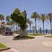 Seaside pedestrian area - Las Am�ricas