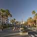 Avenida Rafael Puig en Playa de Las Am�ricas