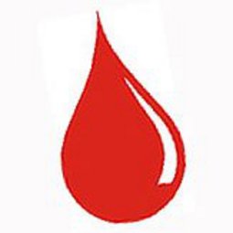 Imagen gota de sangre - abril 2009.