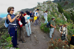 Imagen de uno de los instantes en la Ruta de Senderismo por Teno Alto y Teno Bajo, realizada en el 2007.
Archivo fotogr�fico del Aula de la Naturaleza - Patronato Municipal de Arona - Febrero 2008.