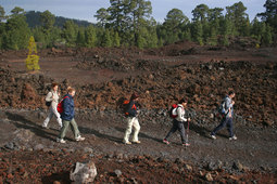 Ruta de Senderismo por "Chinyero", realizada en 2007.Archivo fotogr�fico del Aula de la Naturaleza - Patronato Municipal de Arona