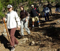Imagenes obtenidas de la Ruta de Senderismo Las Lajas - Ifonche del Aula de la Naturaleza organizado por el Patronato de Cultura del Ayuntamiento de Arona.