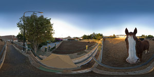 Centro h�pico del Sur (riding school)