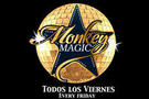 Magic Lounge Bar